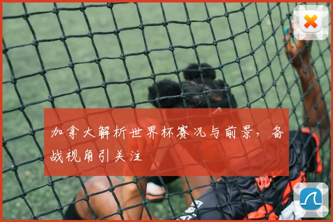 加拿大解析世界杯赛况与前景，备战视角引关注